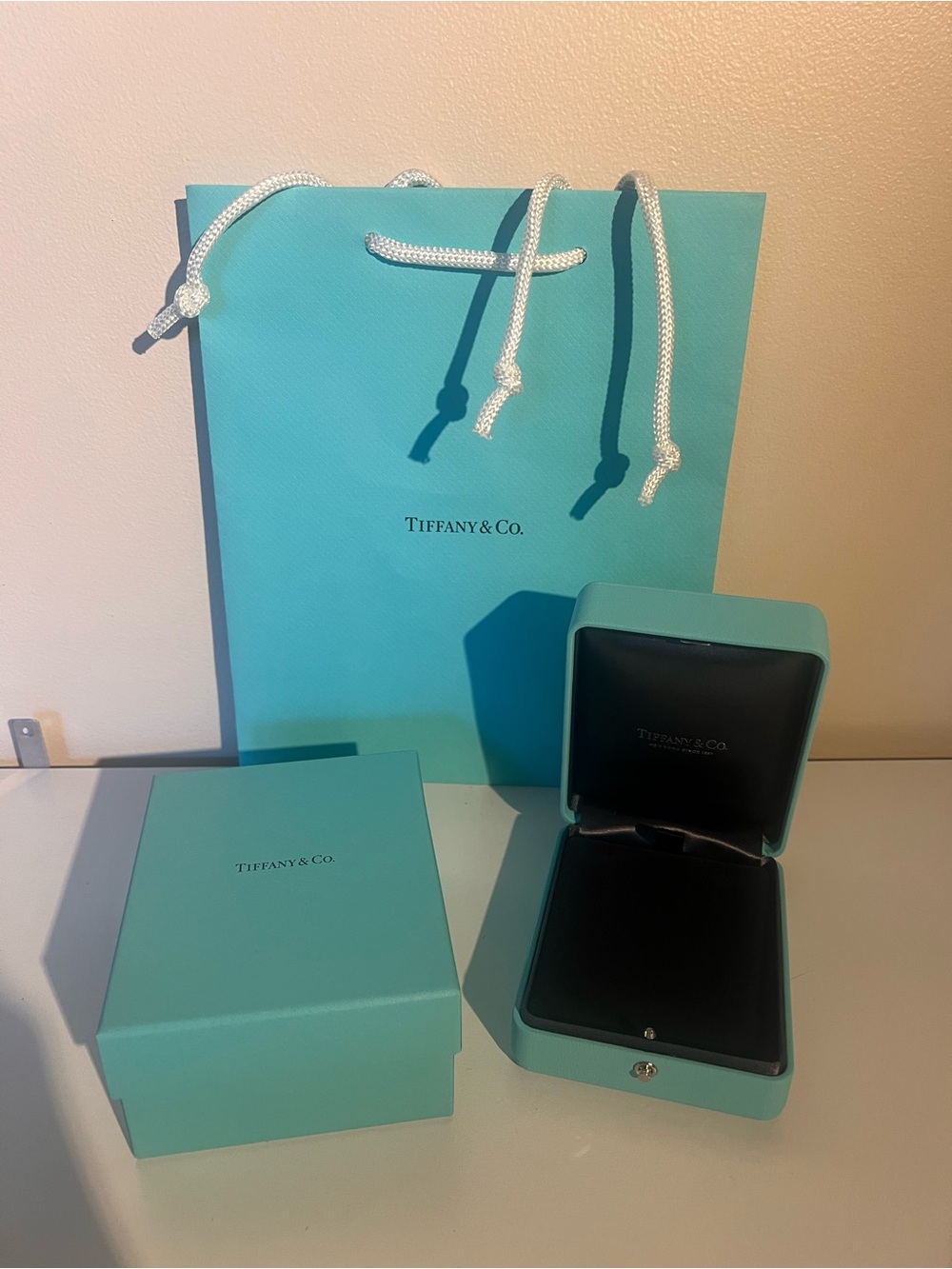 Tiffany & Co. Robin's Egg Blue Large Pendant Box and Bag Set